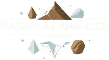 Nasarullah & Co logo